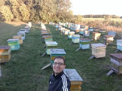 Под пасека