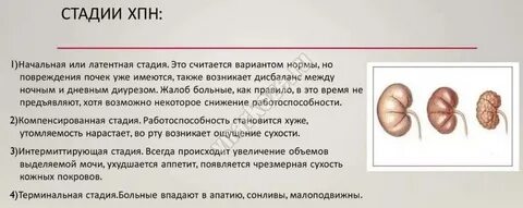Почки 3 стадия