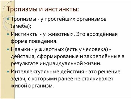 Тропизм