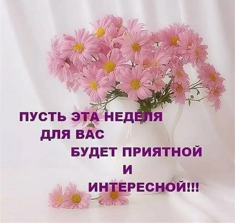 Картинки с пожеланиями рабочей недели: найдено 87 картинок