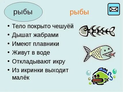 Жабрами тела дышат