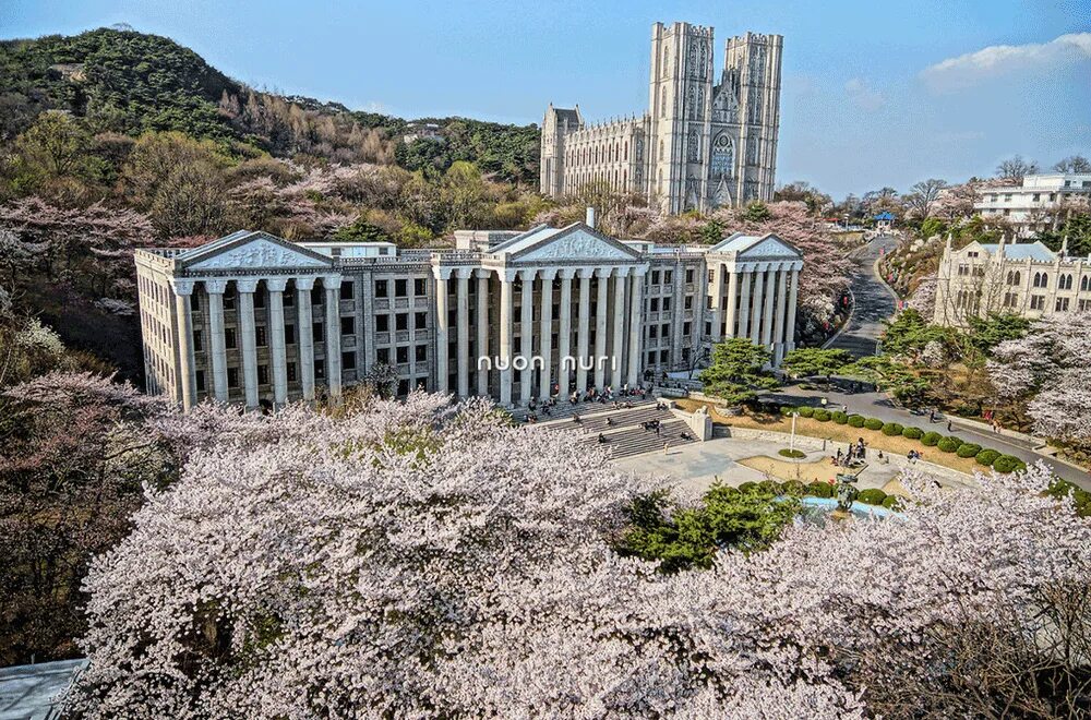 Kyung hee university. Кенхи университет корея изнутри. Университет кенхи кампус. Кёнхиуниверситет корея. Kyung hee university.