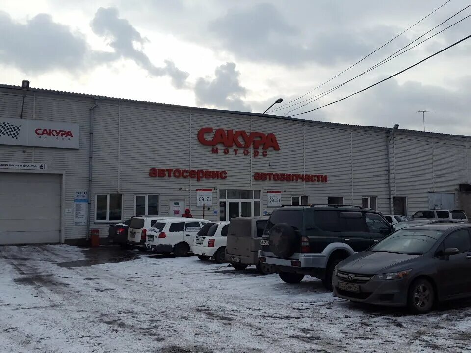 Магазин лидер ульяновск московское шоссе. Сакура моторс оренбург. Сакура моторс контрактные запчасти. Автозапчасти сакура моторс на вавилова красноярск. Сакура моторс контрактные запчасти.