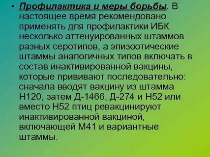 Инфекционный бронхит