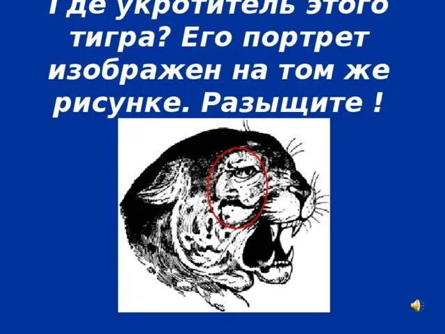 Дрессировщик в цирке. Цирк омский государственный цирк. Дрессировщик диких животных. Запашные с тиграми. Укротительница тигров запашные.