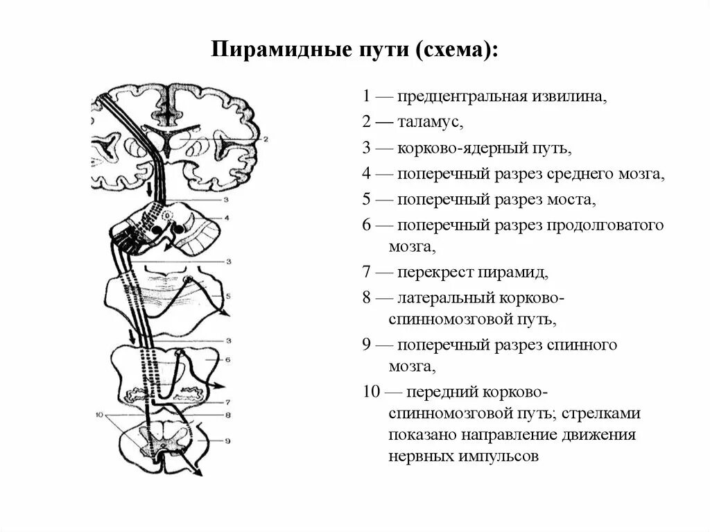 Наводящих путей