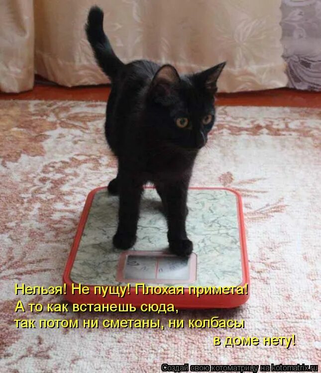 Домашнего нету