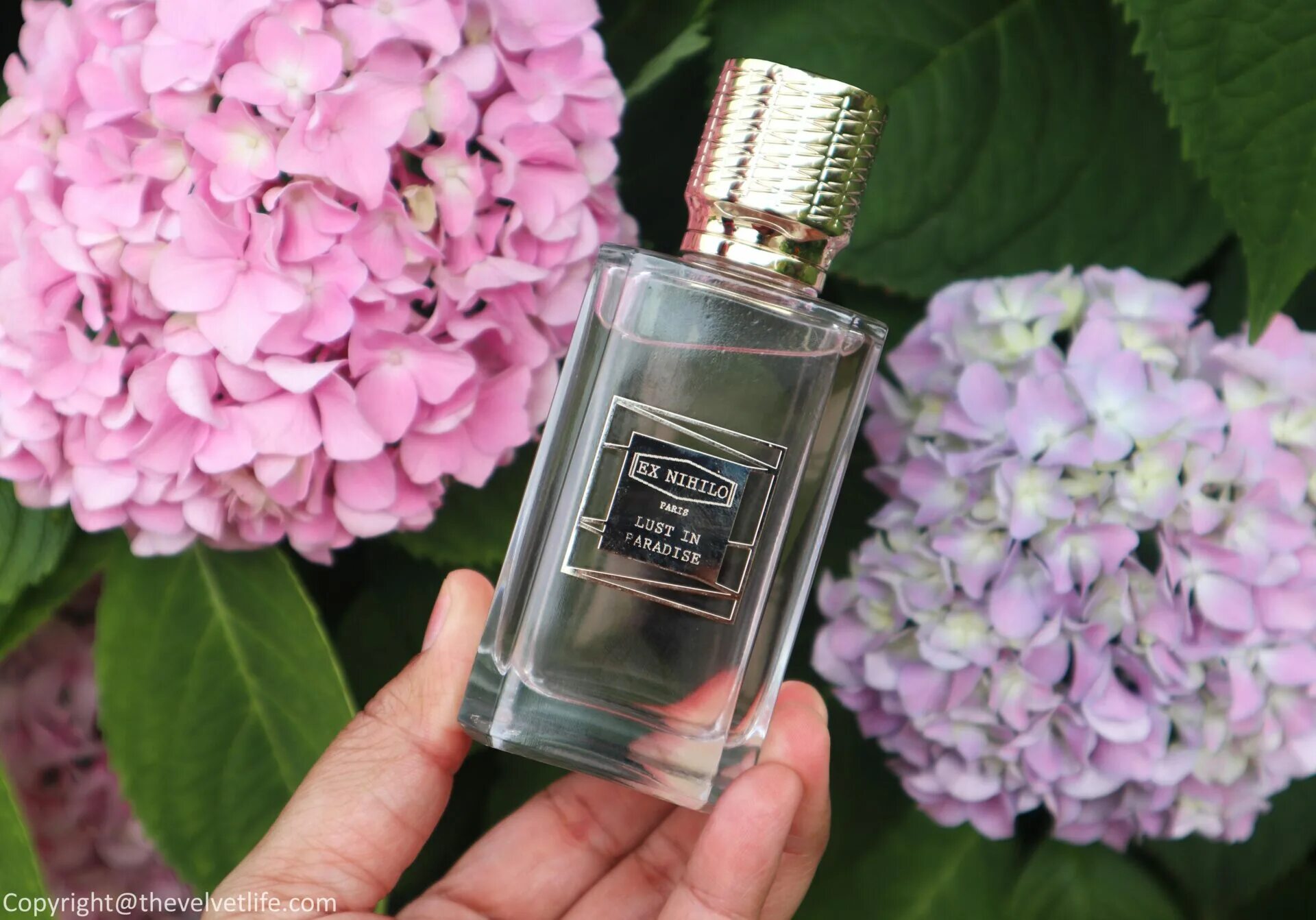 Экс нихило ласт ин парадиз. Ex nihilo fleur lost in paradise. ласт ин парадиз духи. lust in paradise eau de parfum ex nihilo. духи ex nihilo lust in paradise.