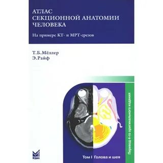 Анатомия диагностика