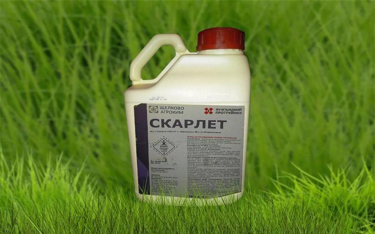 Кругозор протравитель. Протравитель. фунгицида скарлет. подсолнечник имидор.