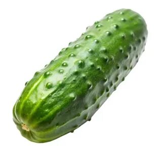 Мастурбация жасайтын қыздардың порно видеоларын қараңыз