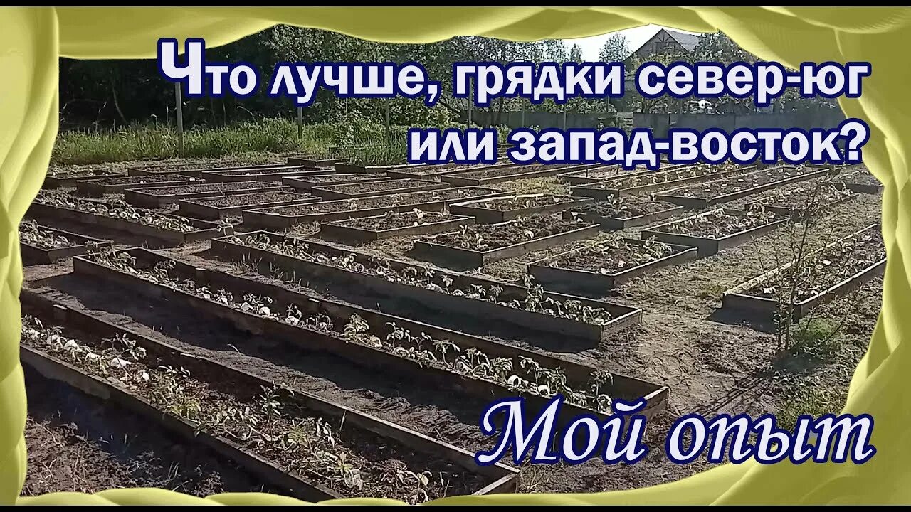 Грядки по сторонам света как правильно. Грядки с севера на Юг. Расположение грядок с севера на Юг. Как правильно расположить грядки по сторонам света.