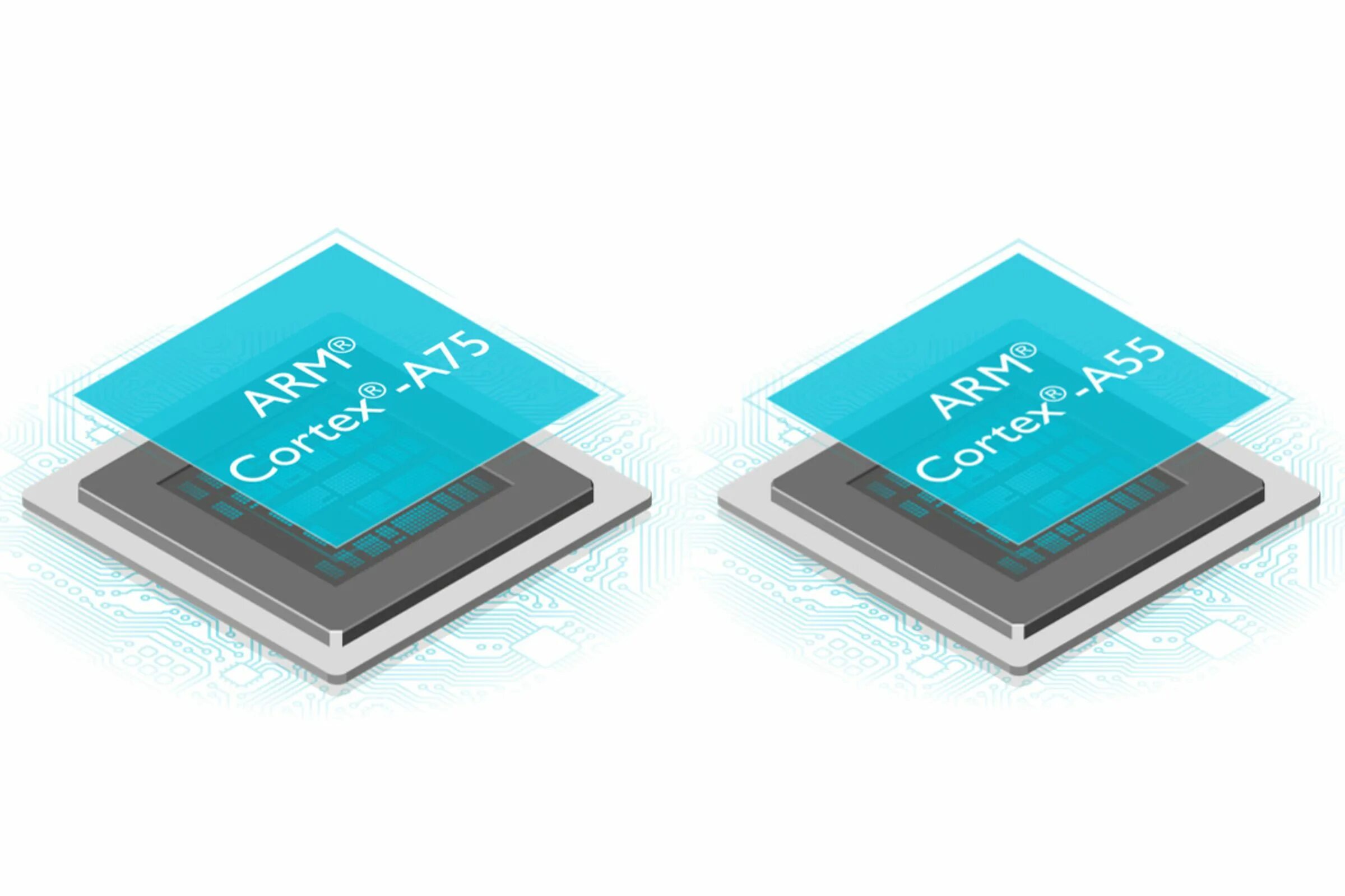 Cortex a35 cortex a55. Cortex a35 cortex a55