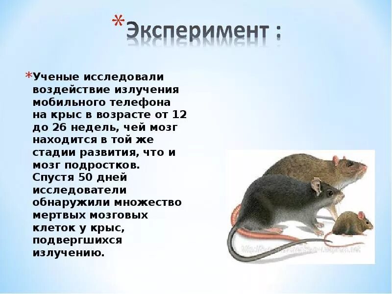 Не определяет мышь