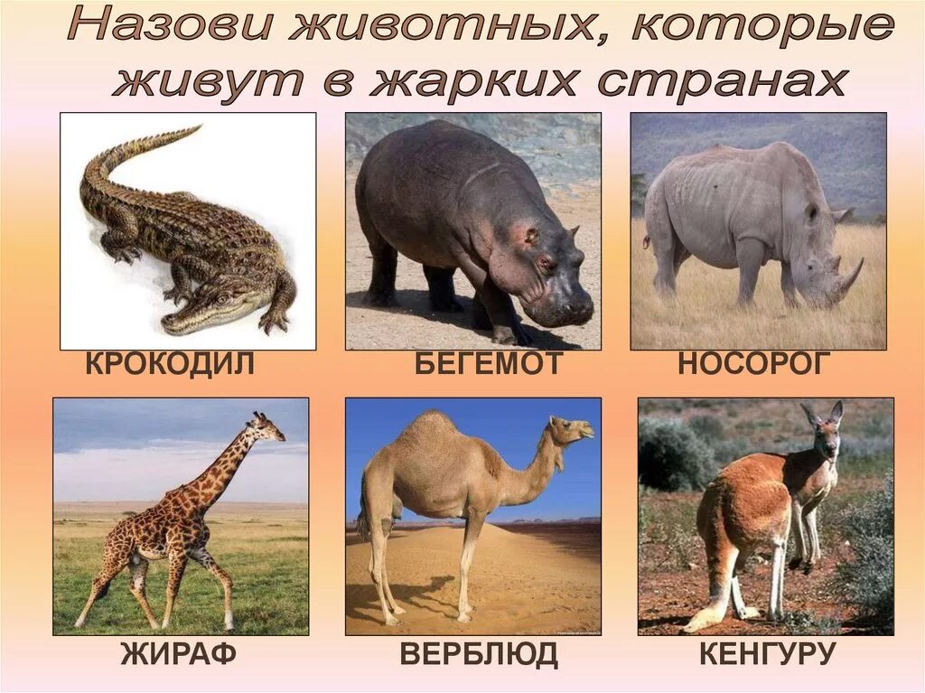 Перечислить животных африки
