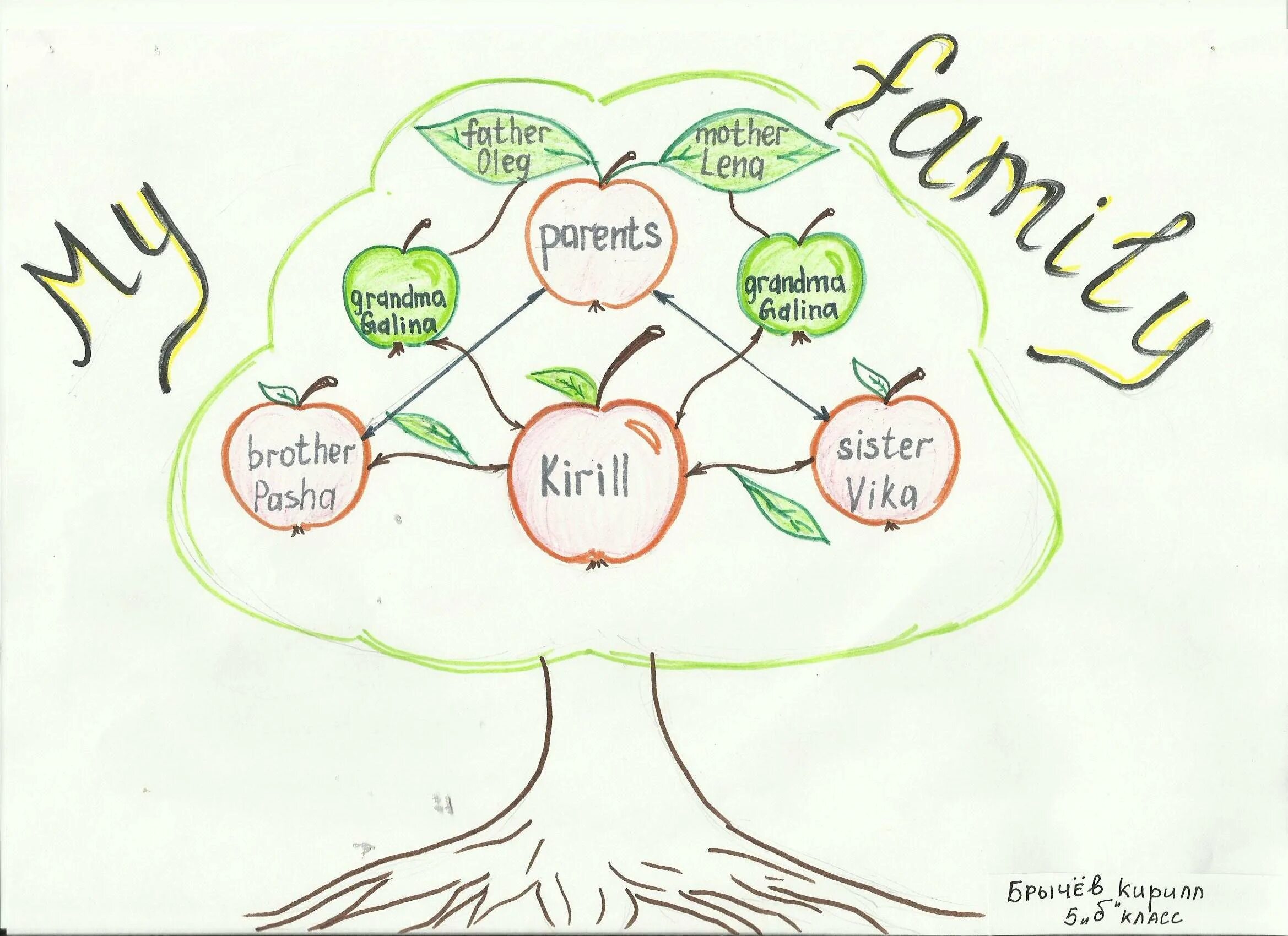 Семейное дерево (my family tree). Семейное древо. Проект по английскому языку моя семья. Проект по английскому языку 4 класс my family tree. Дерево моя семья по английскому.