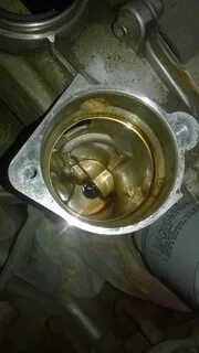 Залить масло в поло