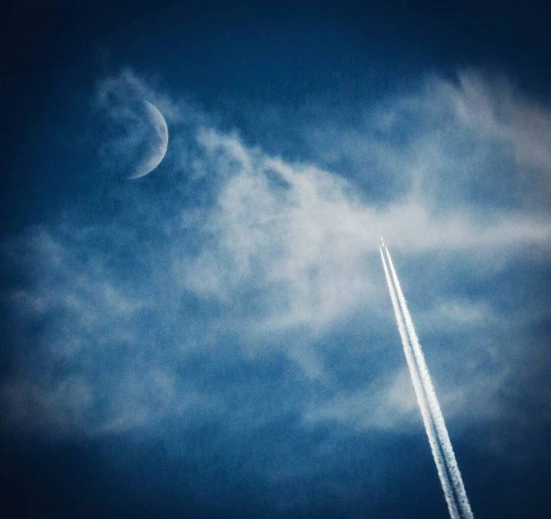 яркая луна. полная луна на небе. один на луне. повисла в небе луна. повисла в небе луна.