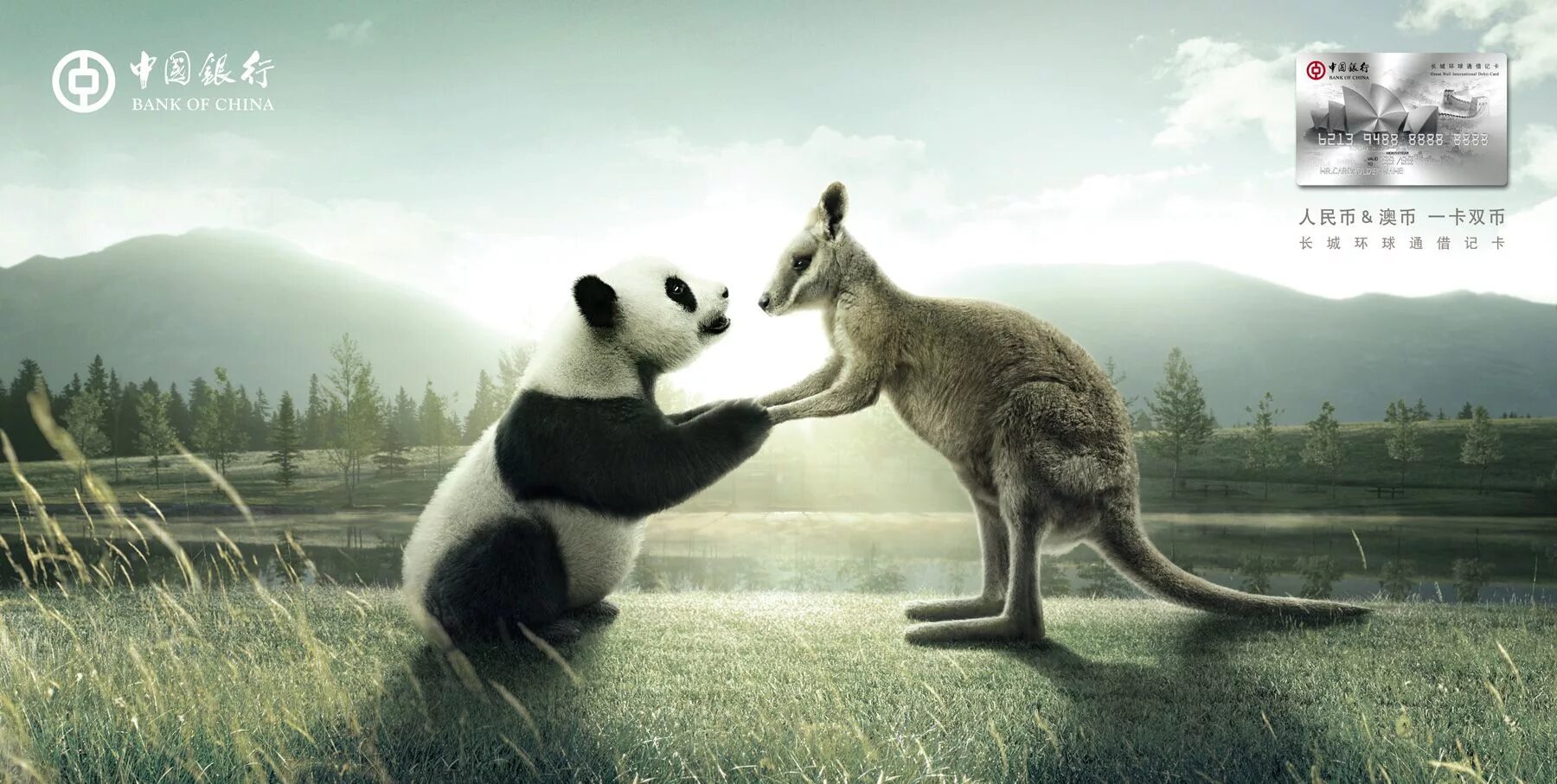 Panda falling trees. Кенгуру панда. panda ads. реклама national. pandas&#039;s 99% eater.