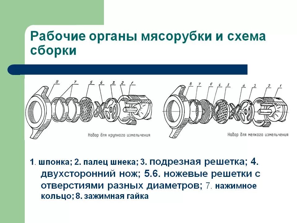 Сборка мясорубки. Мим-300 мясорубка схема сборки ножей. Схема сборки мясорубки для крупного измельчения. Порядок сборки мясорубки для мелкого измельчения мяса. Последовательность сборки рабочих органов мясорубки.