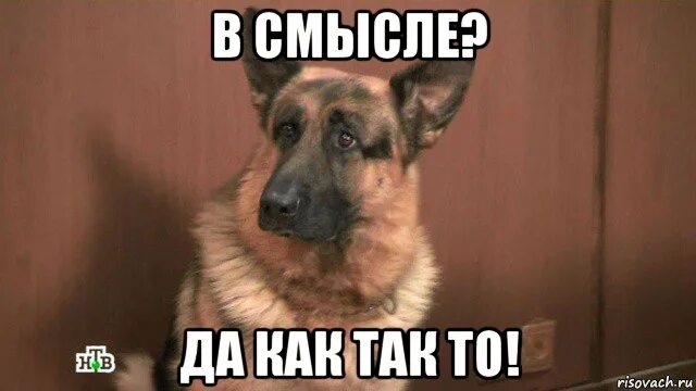 Выражение а че