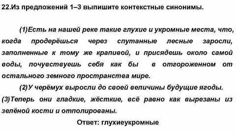 4 предложения с 2 синонимами