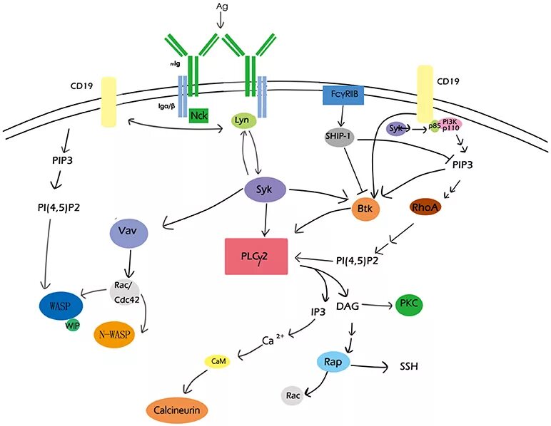 Core signaling
