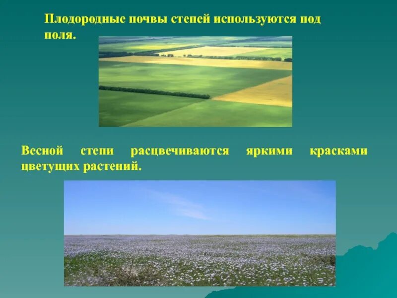 Почвы степи. Степь плодородная почва. Почвы плодородие степи. Почвы степей очень плодородные. Богатства степной зоны