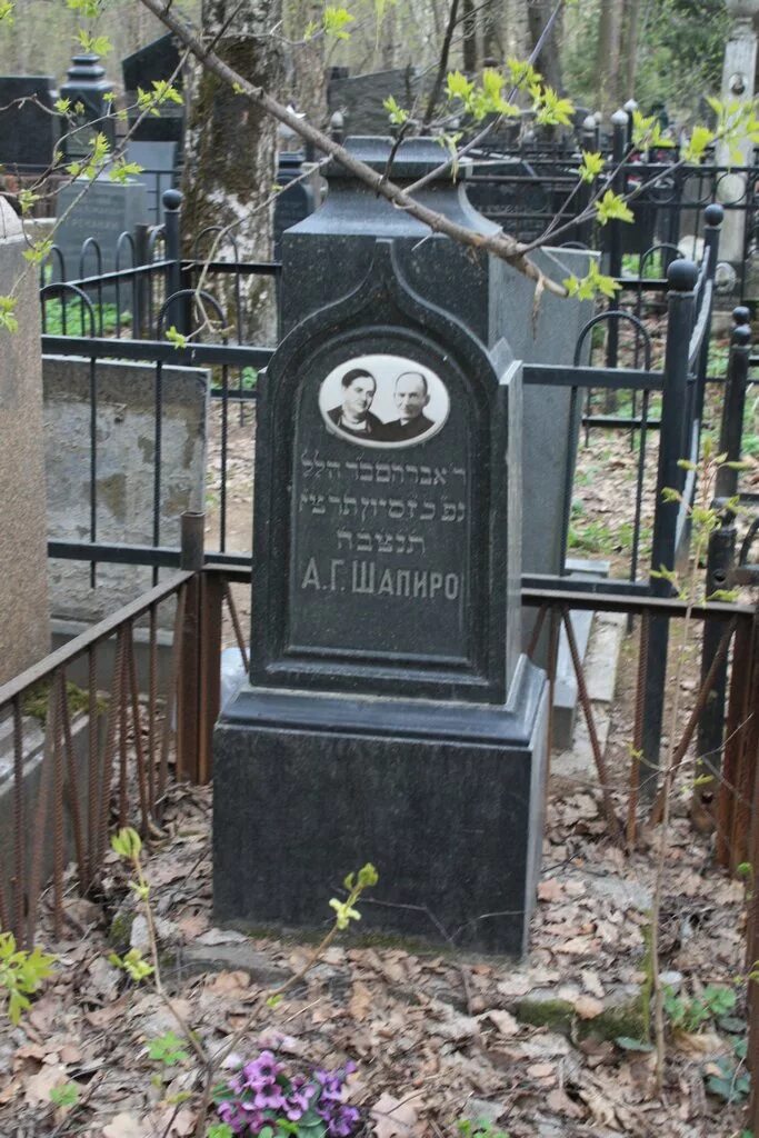 Когда умер вольф мессинг. Востряковское кладбище могила Мессинга. Вольф Мессинг могила на Востряковском кладбище. Востряковское кладбище могила Вольфа Мессинга.