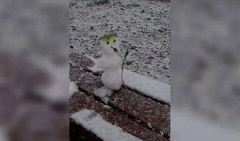 Телеграм магадана