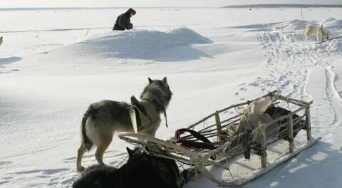 Счастливые люди жизнь в сибири