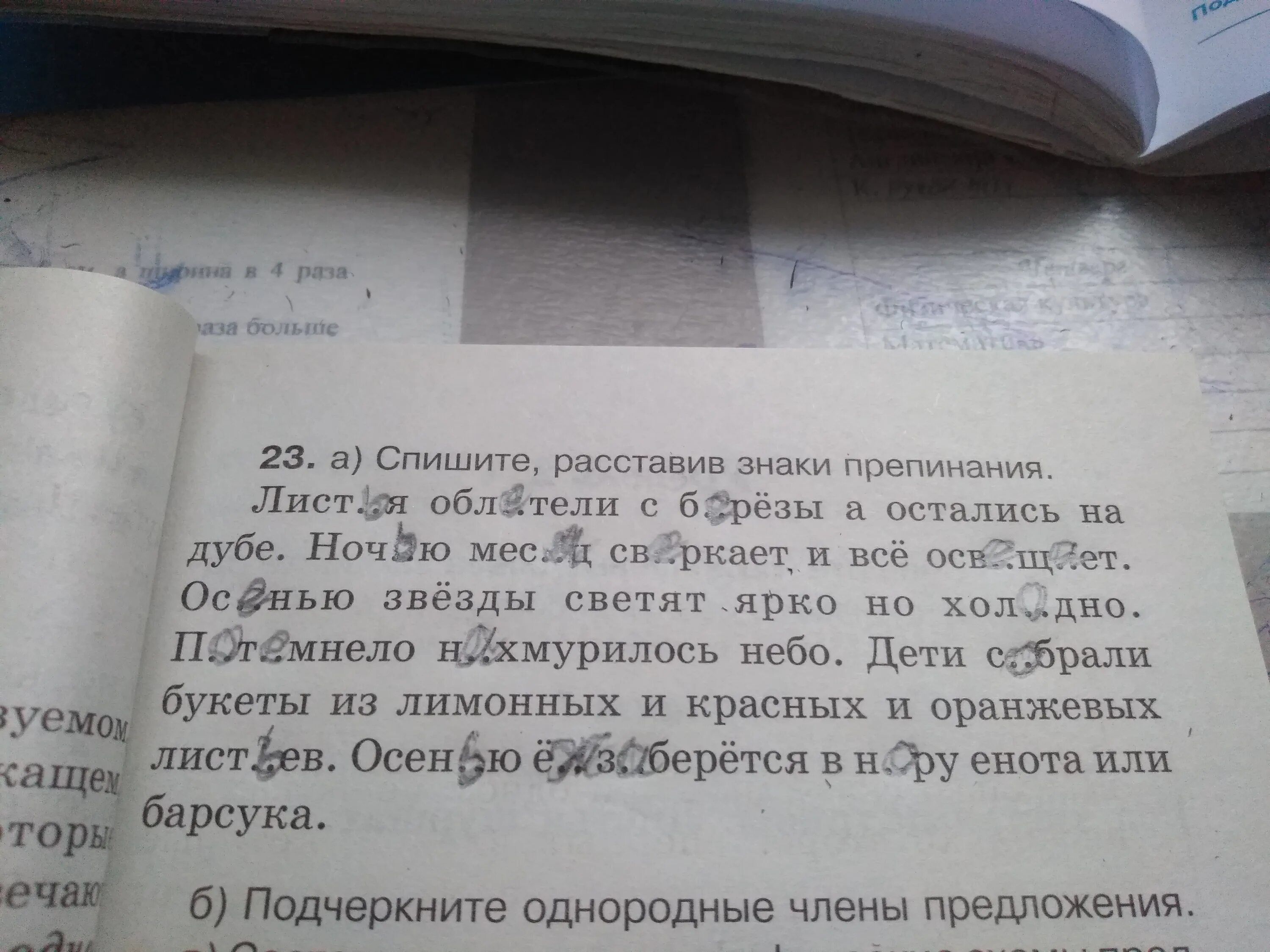 Что ночью сверкает и все освещает ответ. Листья облетели с березы а остались на дубе. ночью месяц сверкает и все освещает. облетели листья.