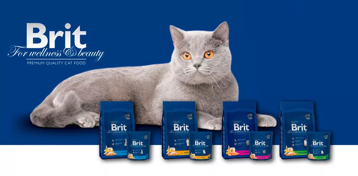 Brit Premium Care. Корм для кошек Brit Premium 1кг. Brit Premium логотип. Корм для собак Brit Premium. Что значит брит