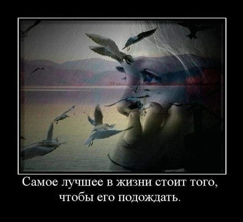 Мир не прочь