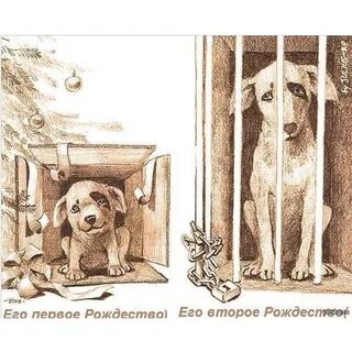 Каждая мечтает о собаке