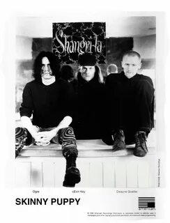 Skinny puppy