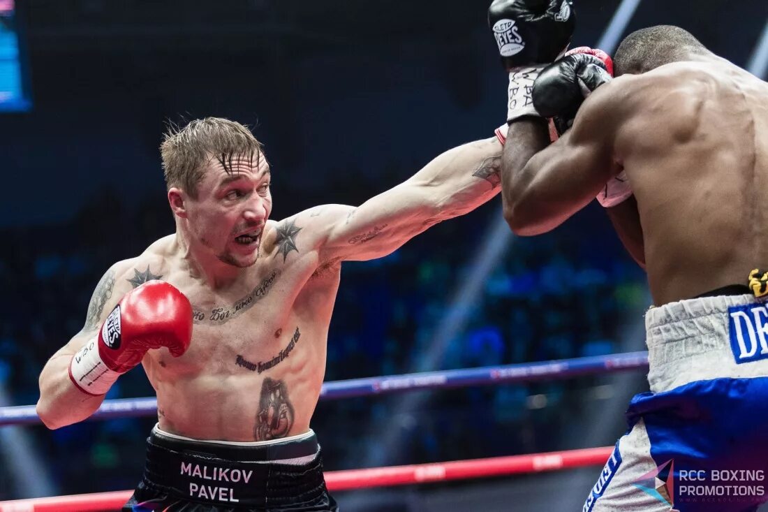 павел маликов. люберецкий боксер павел маликов. заур абдулаев. маликов бой. заур абдуллаев боксер бои.