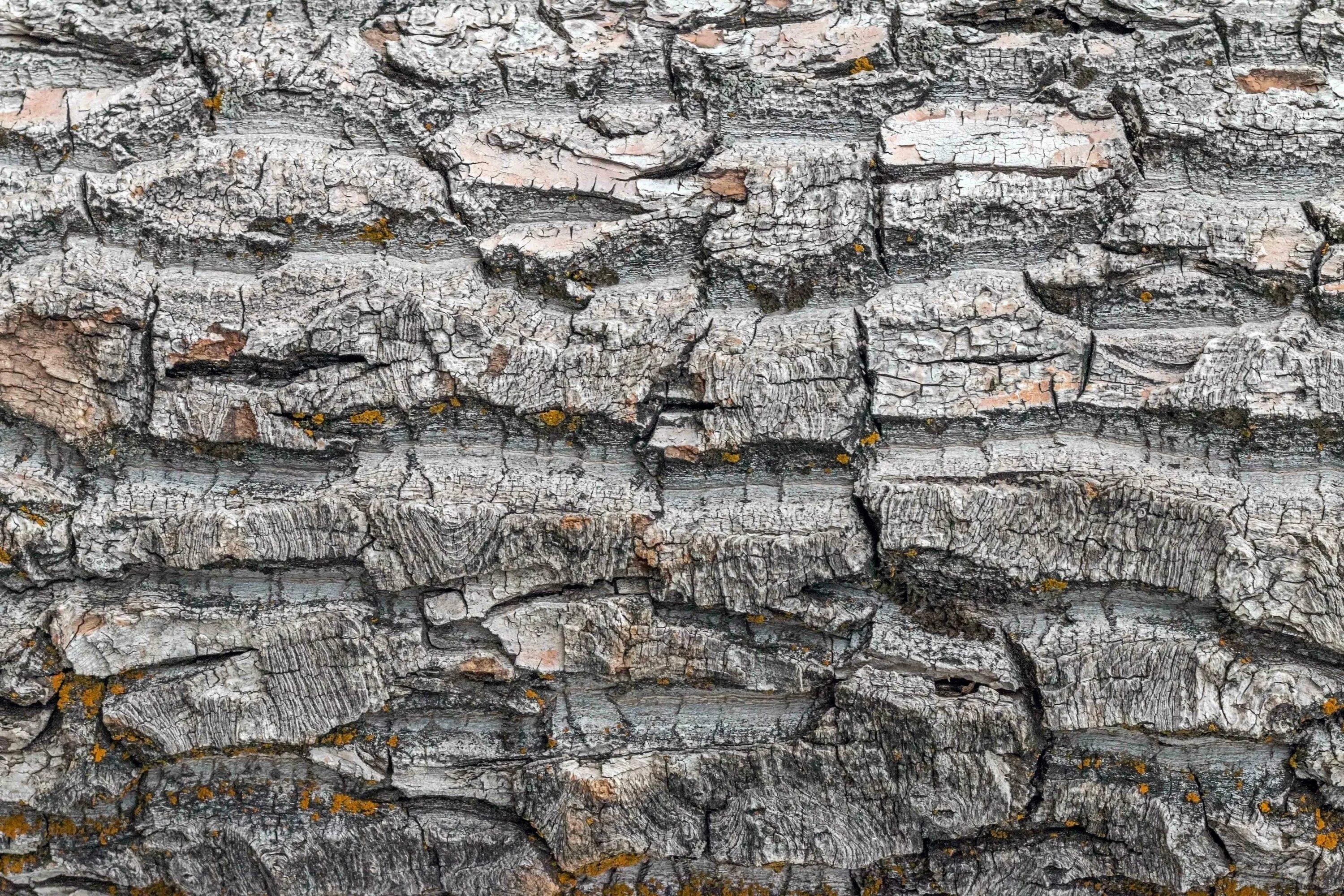 Текстура скалы. Скала текстура. Скалистая текстура. Рельеф скалы. Текстура скалы.