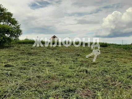 Гагарина новосибирская область