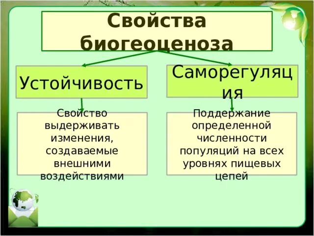 Свойства биогеоценоза. Свойства экосистем устойчивость. Характеристики устойчивой экосистемы. Характеристика биогеоценоза. Развитие биогеоценозов