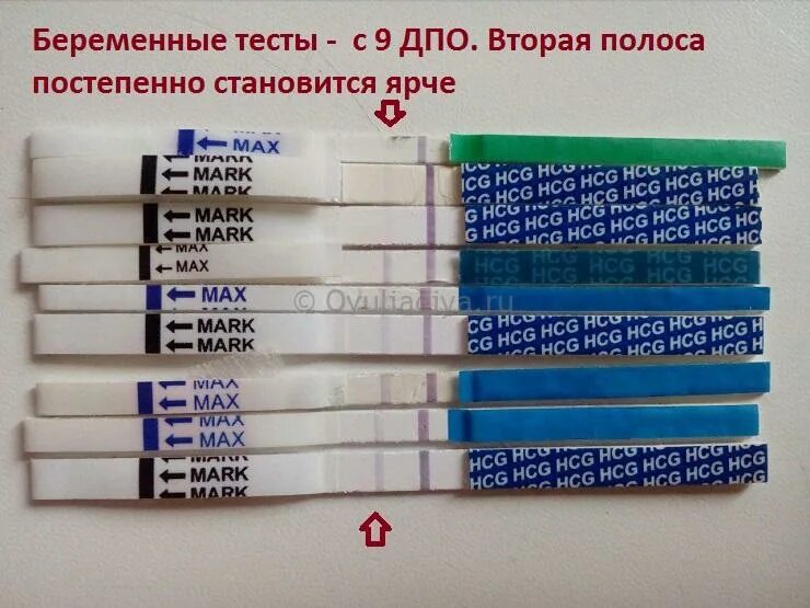 Через сколько делать тест после овуляции. Тест на беременность. тест на беременность после овуляции. тесты на беременность по дням. ранние тесты на беременность после овуляции.