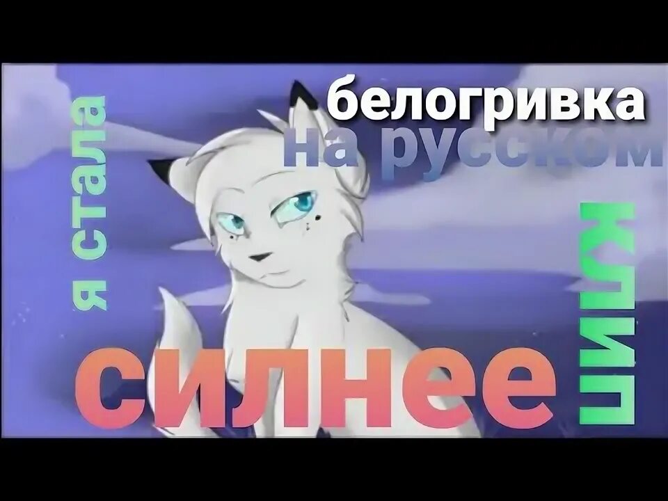 Остролап и пестролистая. Коты воители белогривка и остролап. Коты воители аск. Погода в белогривке. Белогривка и синегривка.