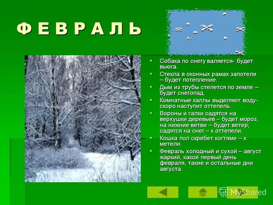 Приметы погоды зимы. Приметы погоды зимы