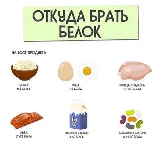 Откуда получить белок