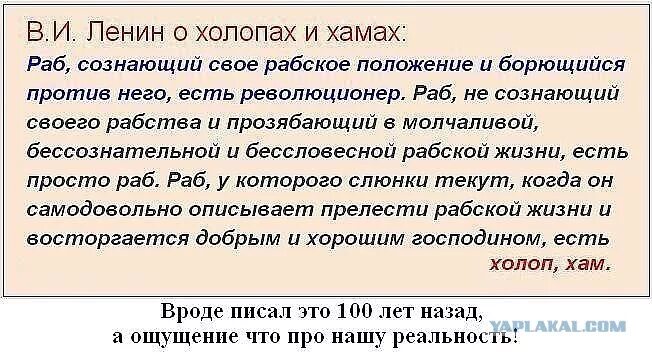 Достучаться до совести. Высказывания о рабах. Ленин о рабах цитата. Фразы про рабов. Раб, сознающий свое рабское положение и борющийся против него, есть.