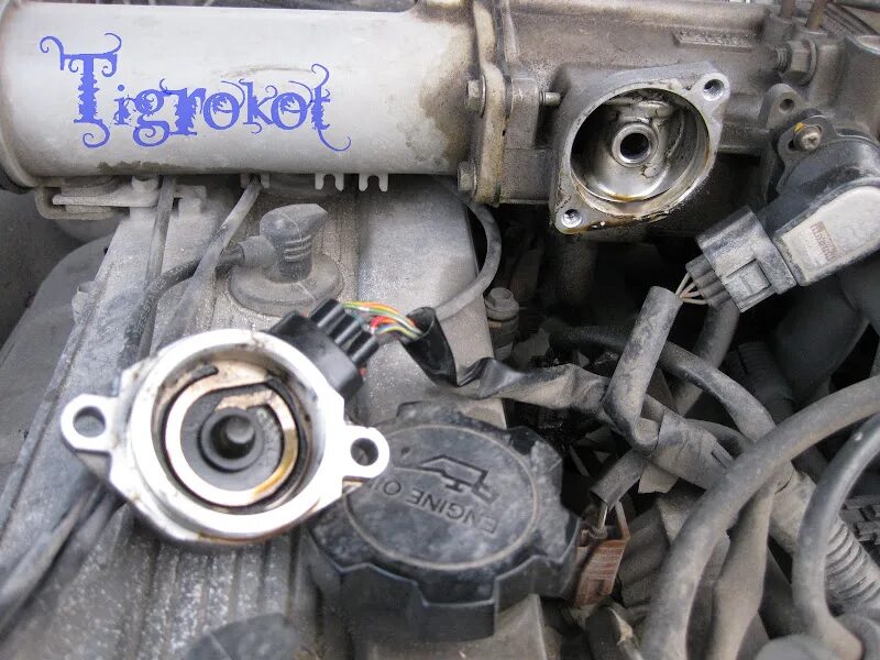 Датчик холостого хода марк 2 100 1g fe. Клапан холостого хода 1g fe. Датчик холостого хода 1g fe трамблер. Клапан холостого хода 1g. Датчик холостого хода 1g fe.