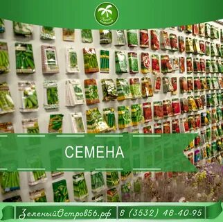 Зеленый континент