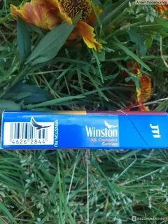 Winston banana cigarettes: смотрите и скачивайте изображения — Яндекс  Картинки