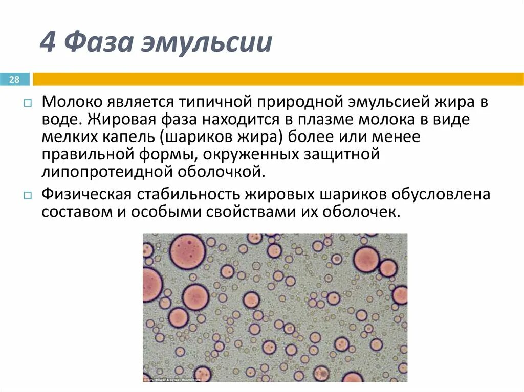 Среда эмульсии. Молоко эмульсия. Молоко как природная эмульсия. Фазы эмульсии. Молоко в фазе эмульсии.