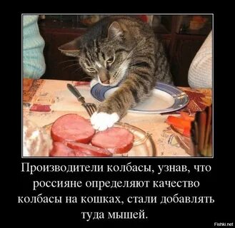 В колбасных обрезках откуда фраза